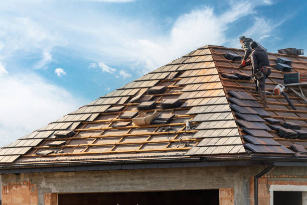Best Asphalt Shingle Roofing  in Grove City, PA
